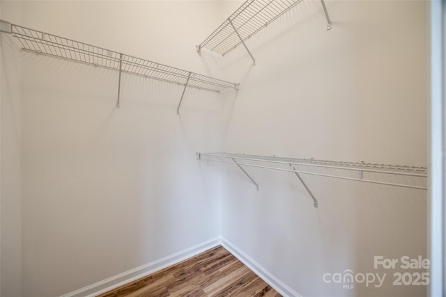 11426 Savannah Creek Dr, Charlotte, NC 28273 - walk in closet with wood finished floors