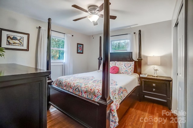 bedroom with multiple windows, dark wood-type flooring, and ceiling fan