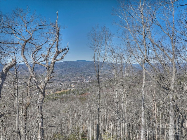 00 Breedlove Rd, Bryson City NC, 28713 land for sale