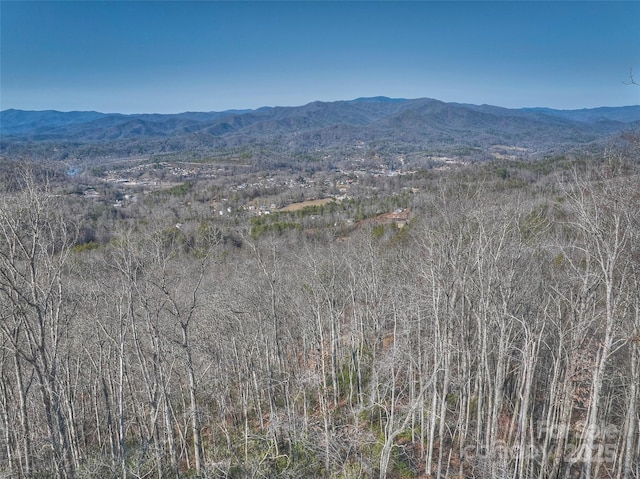 Listing photo 3 for 00 Breedlove Rd, Bryson City NC 28713