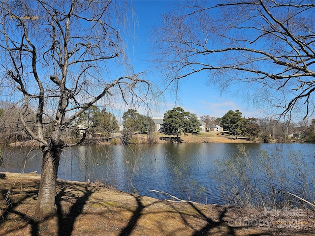 view of water feature