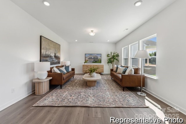 living room with wood-type flooring