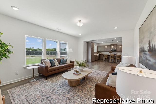 living room featuring dark hardwood / wood-style flooring