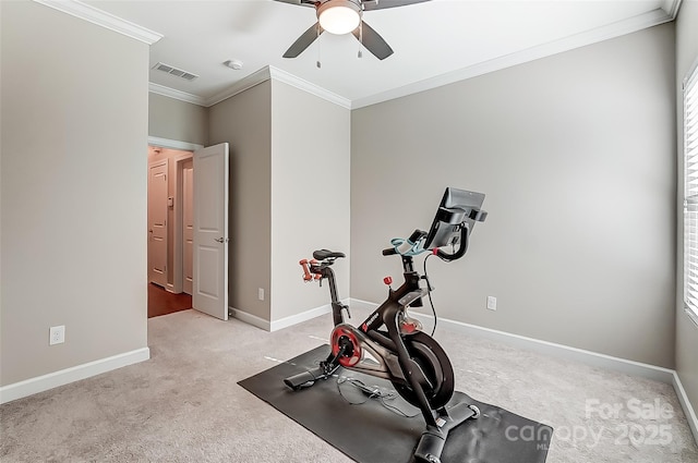 14827 Batteliere Dr, Charlotte, NC 28278 - exercise area featuring light carpet, baseboards, visible vents, and crown molding