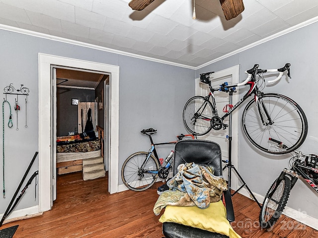 interior space with crown molding, ceiling fan, and wood-type flooring