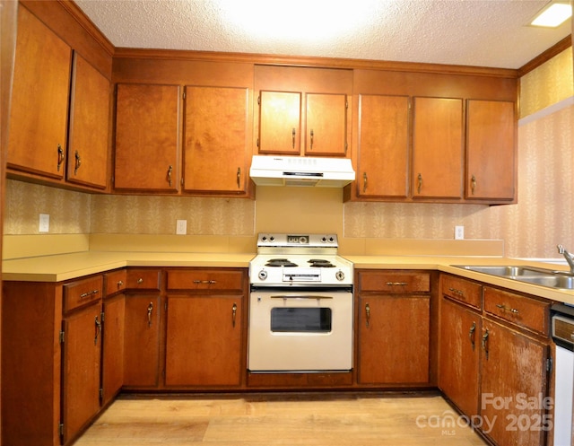 kitchen featuring sink, light hardwood / wood-style flooring, a textured ceiling, and white electric range oven