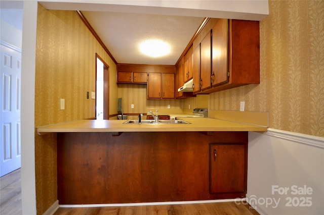 kitchen with ornamental molding, stainless steel electric range oven, kitchen peninsula, and sink