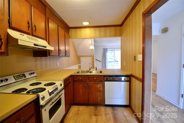 kitchen with sink, white appliances, light hardwood / wood-style floors, a textured ceiling, and decorative light fixtures