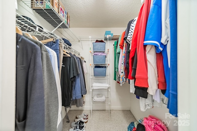 view of spacious closet