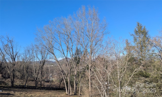 view of landscape with a view of trees