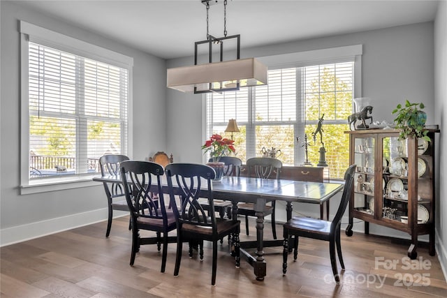 dining area featuring plenty of natural light, baseboards, and wood finished floors