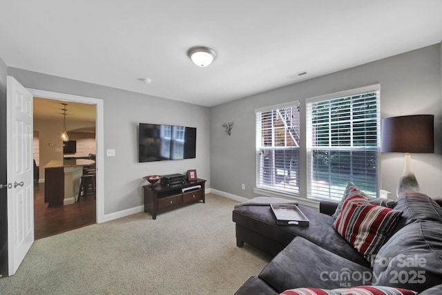 view of carpeted living room