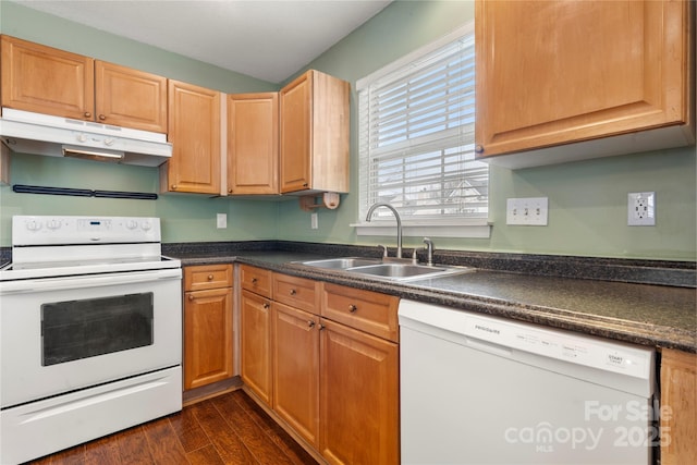 kitchen featuring dark hardwood / wood-style flooring, sink, and white appliances