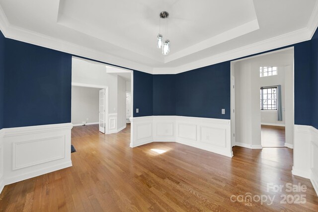 spare room featuring a raised ceiling, light wood-style floors, and a wainscoted wall