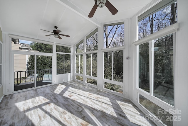 unfurnished sunroom featuring vaulted ceiling with beams, a ceiling fan, and a healthy amount of sunlight