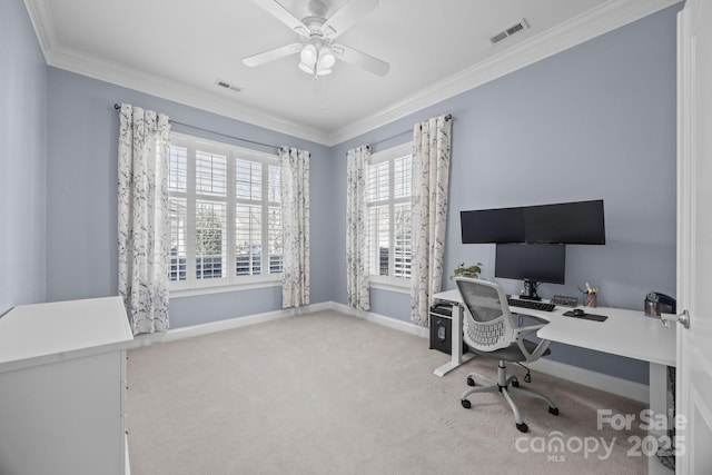 office featuring carpet, visible vents, baseboards, and ornamental molding