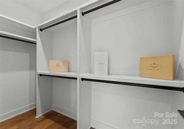 walk in closet featuring wood finished floors