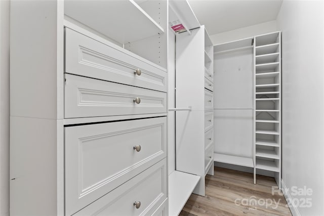 walk in closet featuring light hardwood / wood-style flooring