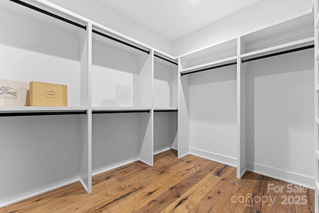 spacious closet featuring hardwood / wood-style floors
