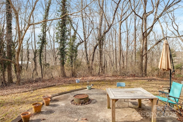 17 Jenny St, Asheville, NC 28806 - view of patio with an outdoor fire pit