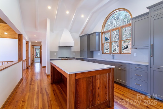 kitchen with light wood-type flooring, light countertops, decorative backsplash, custom exhaust hood, and a sink