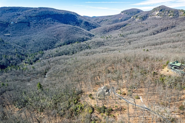 view of mountain feature