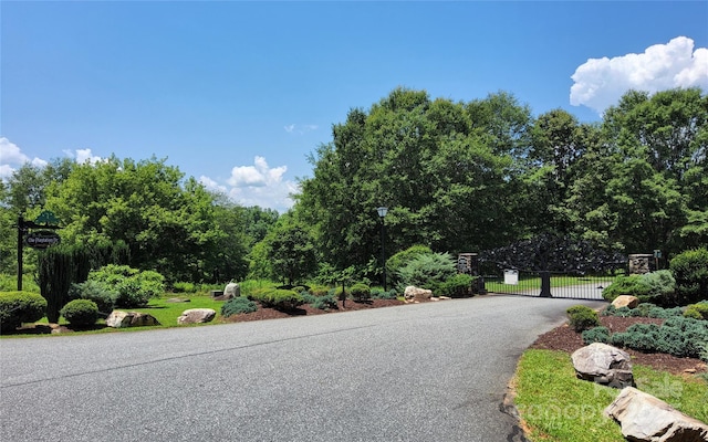 0 Shady Bark Ln Unit 46, Rutherfordton, NC 28139 - photo 13