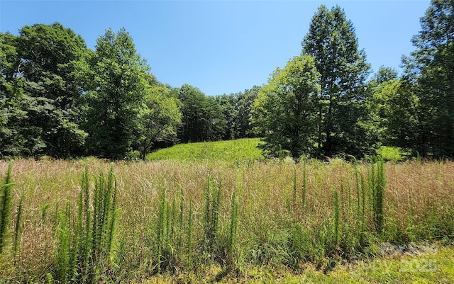 0 Shady Bark Ln Unit 46, Rutherfordton, NC 28139 - photo 1