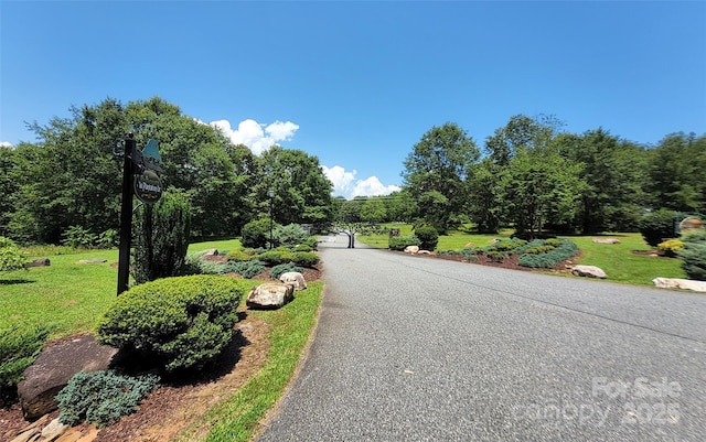 0 Shady Bark Ln Unit 46, Rutherfordton, NC 28139 - photo 3