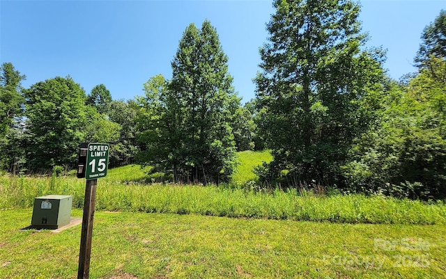 0 Shady Bark Ln Unit 46, Rutherfordton, NC 28139 - photo 4