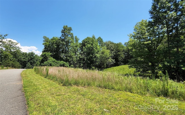 0 Shady Bark Ln Unit 46, Rutherfordton, NC 28139 - photo 5