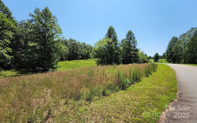 0 Shady Bark Ln Unit 46, Rutherfordton, NC 28139 - photo 6