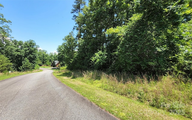 0 Shady Bark Ln Unit 46, Rutherfordton, NC 28139 - photo 7