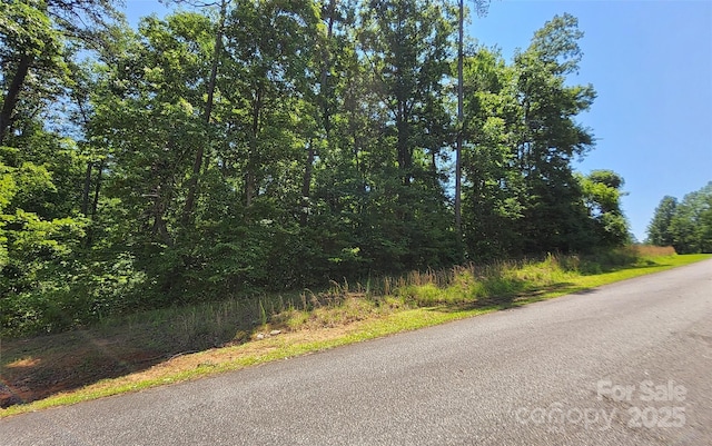 0 Shady Bark Ln Unit 46, Rutherfordton, NC 28139 - photo 8