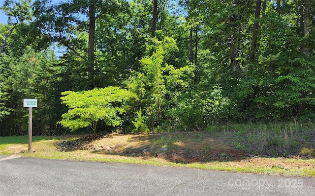 0 Shady Bark Ln Unit 46, Rutherfordton, NC 28139 - photo 9