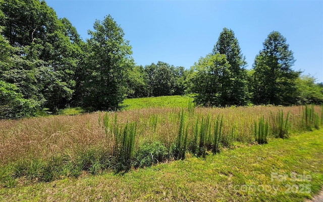 0 Shady Bark Ln Unit 46, Rutherfordton, NC 28139 - photo 10