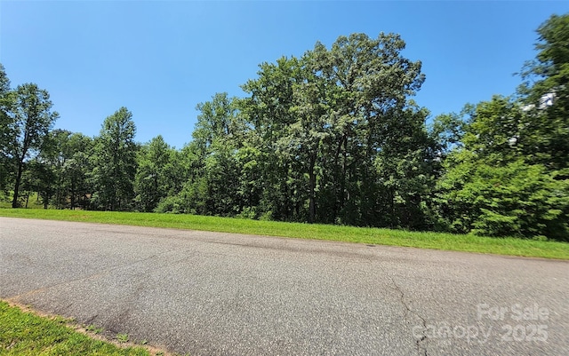 0 Shady Bark Ln Unit 46, Rutherfordton, NC 28139 - photo 11