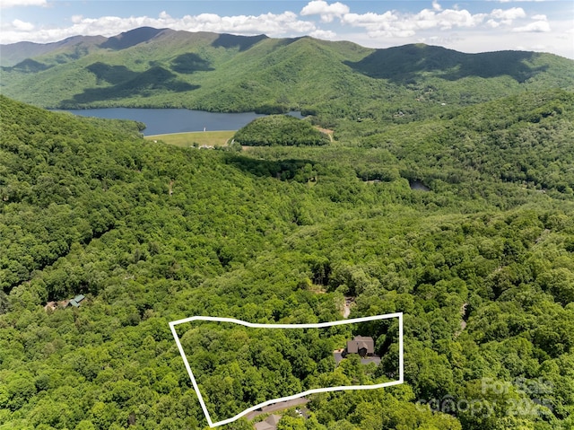 drone / aerial view with a wooded view and a water and mountain view