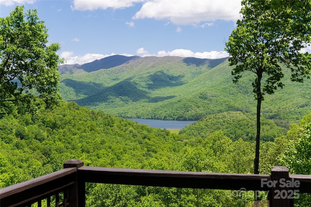 mountain view with a forest view