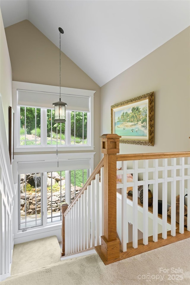 stairs featuring high vaulted ceiling and carpet flooring