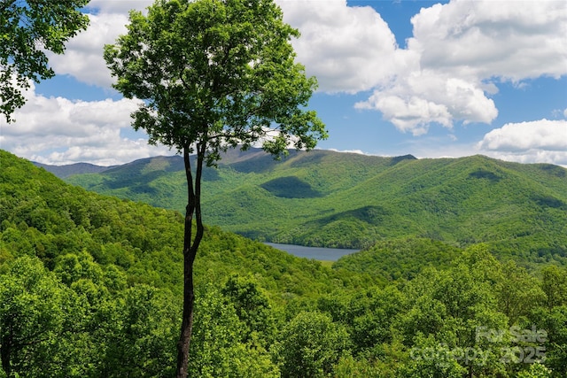 1 Wood Haven Ln, Black Mountain, NC 28711 - photo 6