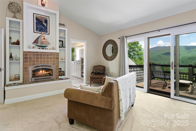 1 Wood Haven Ln, Black Mountain, NC 28711 - photo 28