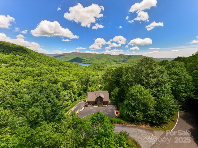 1 Wood Haven Ln, Black Mountain, NC 28711 - photo 46