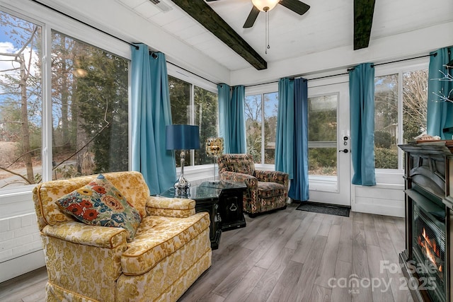 sunroom / solarium featuring beamed ceiling, a warm lit fireplace, and ceiling fan