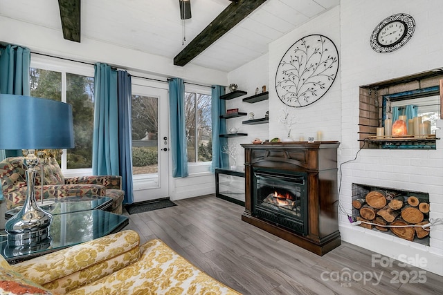 living area with a glass covered fireplace, wooden ceiling, lofted ceiling with beams, and dark wood-type flooring