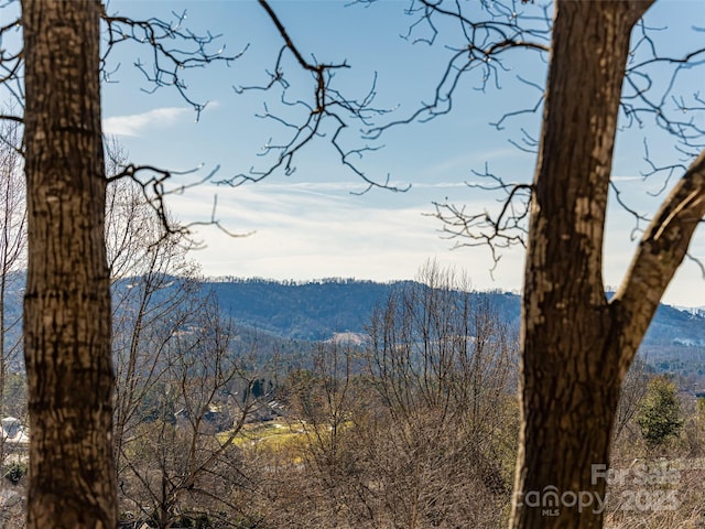 property view of mountains