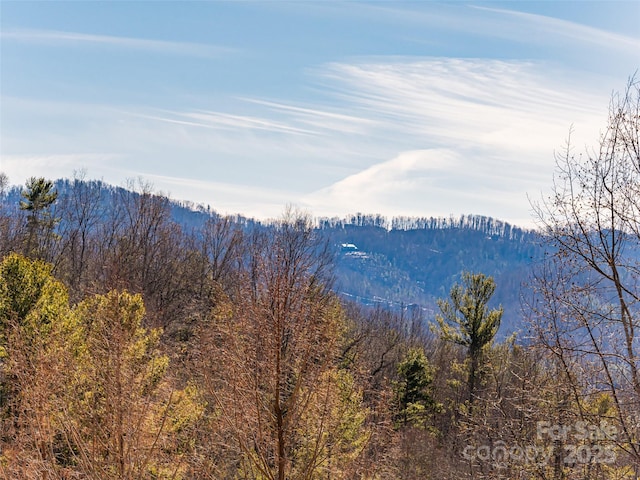 property view of mountains