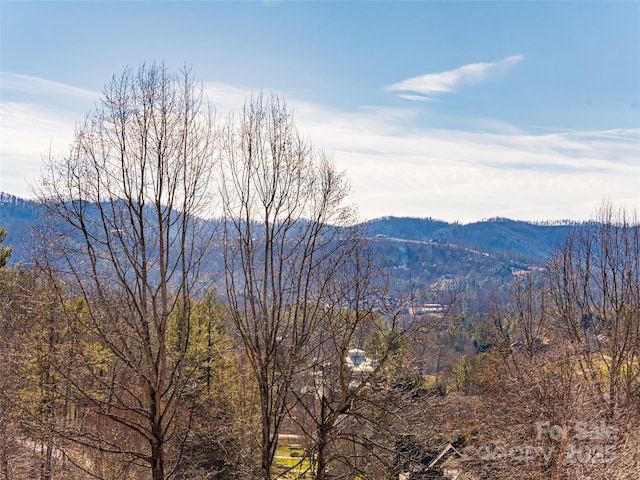 view of mountain feature