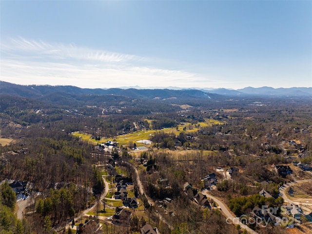 birds eye view of property with a mountain view