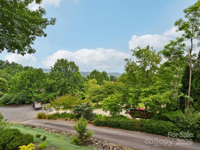 142 Twin Courts Dr, Weaverville, NC 28787 - photo 3